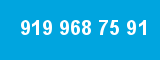 919 968 75 91 919 968 75 91